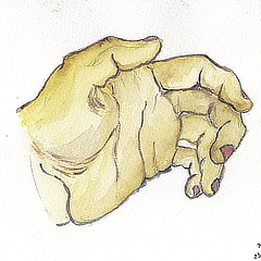 Mains (étude) | 1984 | Aquarelle sur papier | 21,4x30,3 cm