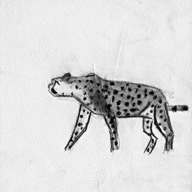 guépard 2