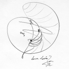 Larve lovée | 1992 | Graphite on paper | 21x29,7 cm