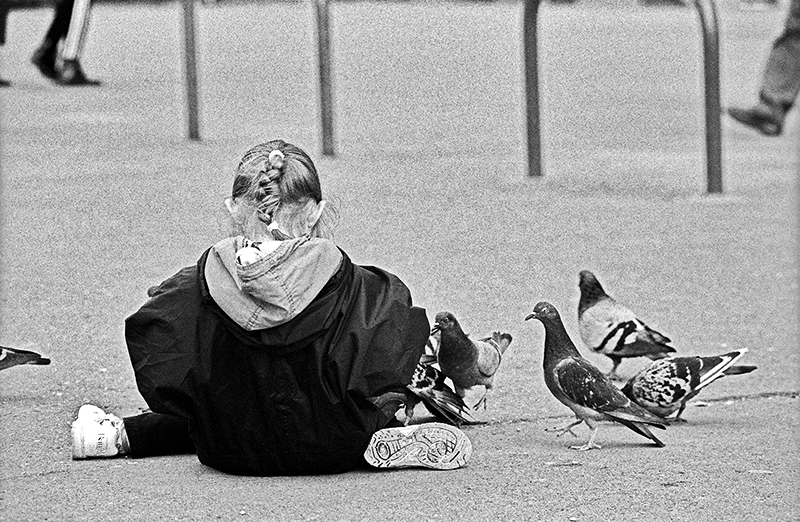 Margot aux pigeons 3