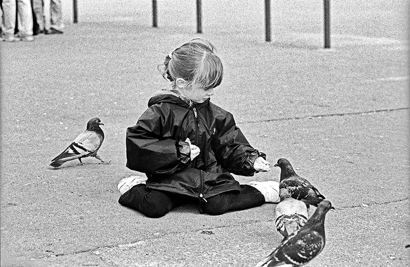 Margot aux pigeons 4